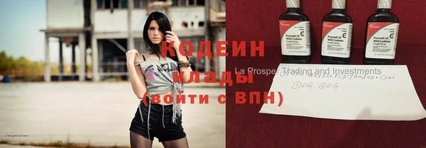 ГАЛЛЮЦИНОГЕННЫЕ ГРИБЫ Вязники