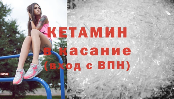 сатива Вяземский
