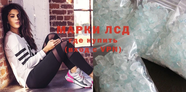 ГАЛЛЮЦИНОГЕННЫЕ ГРИБЫ Вязники