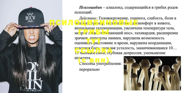 сатива Вяземский