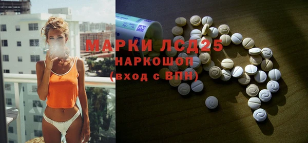 ГАЛЛЮЦИНОГЕННЫЕ ГРИБЫ Вязники