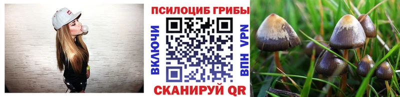 цена   KRAKEN ссылка  Галлюциногенные грибы Psilocybine cubensis  Макарьев 